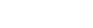 N-Digital Services